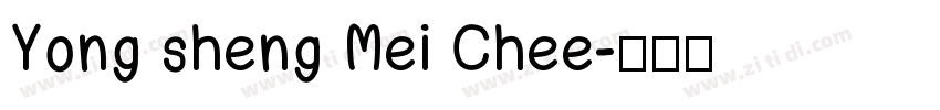 Yong sheng Mei Chee字体转换